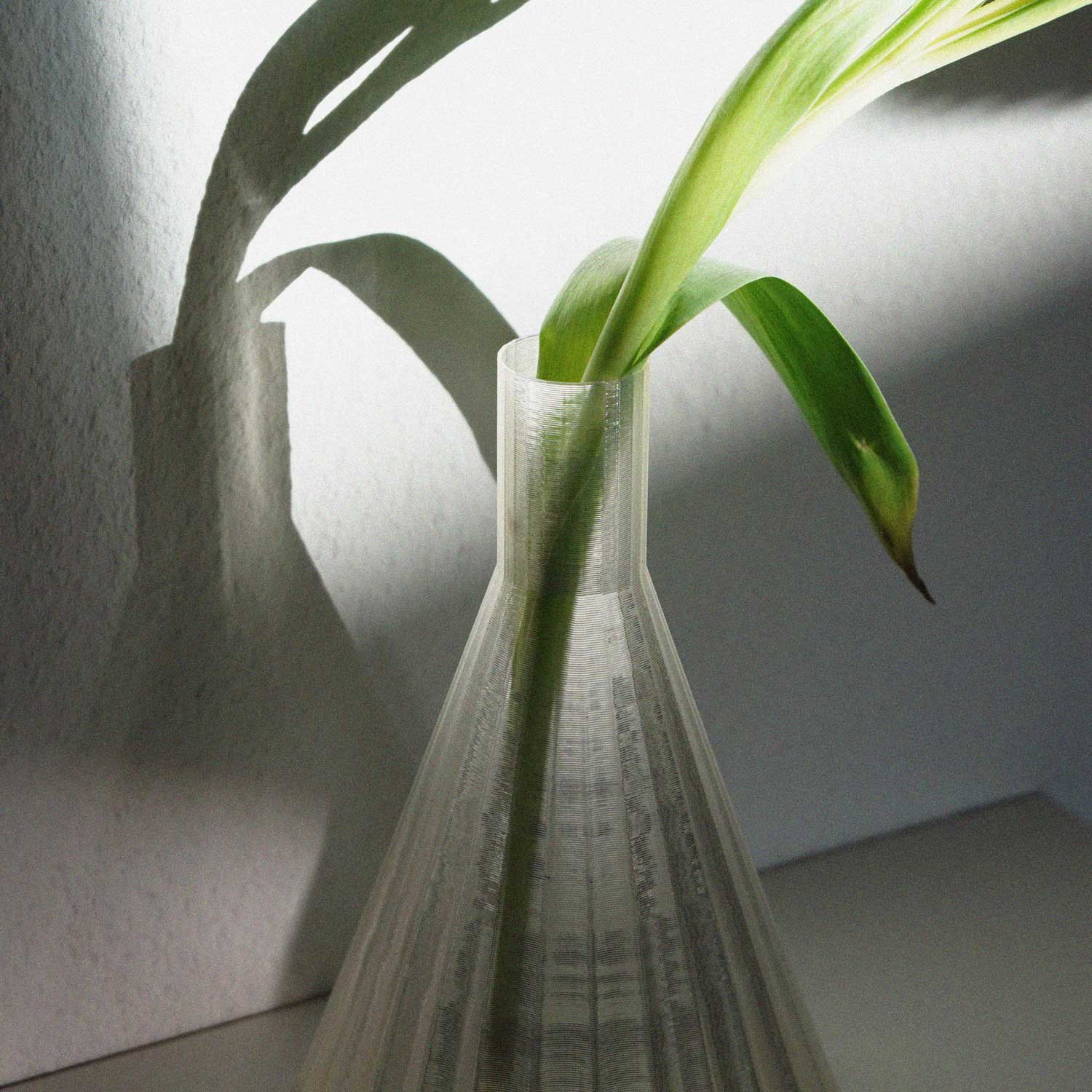 Vase Vesa