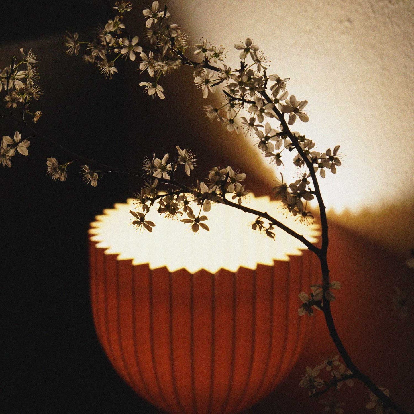 Lamp C • tulip orange XL