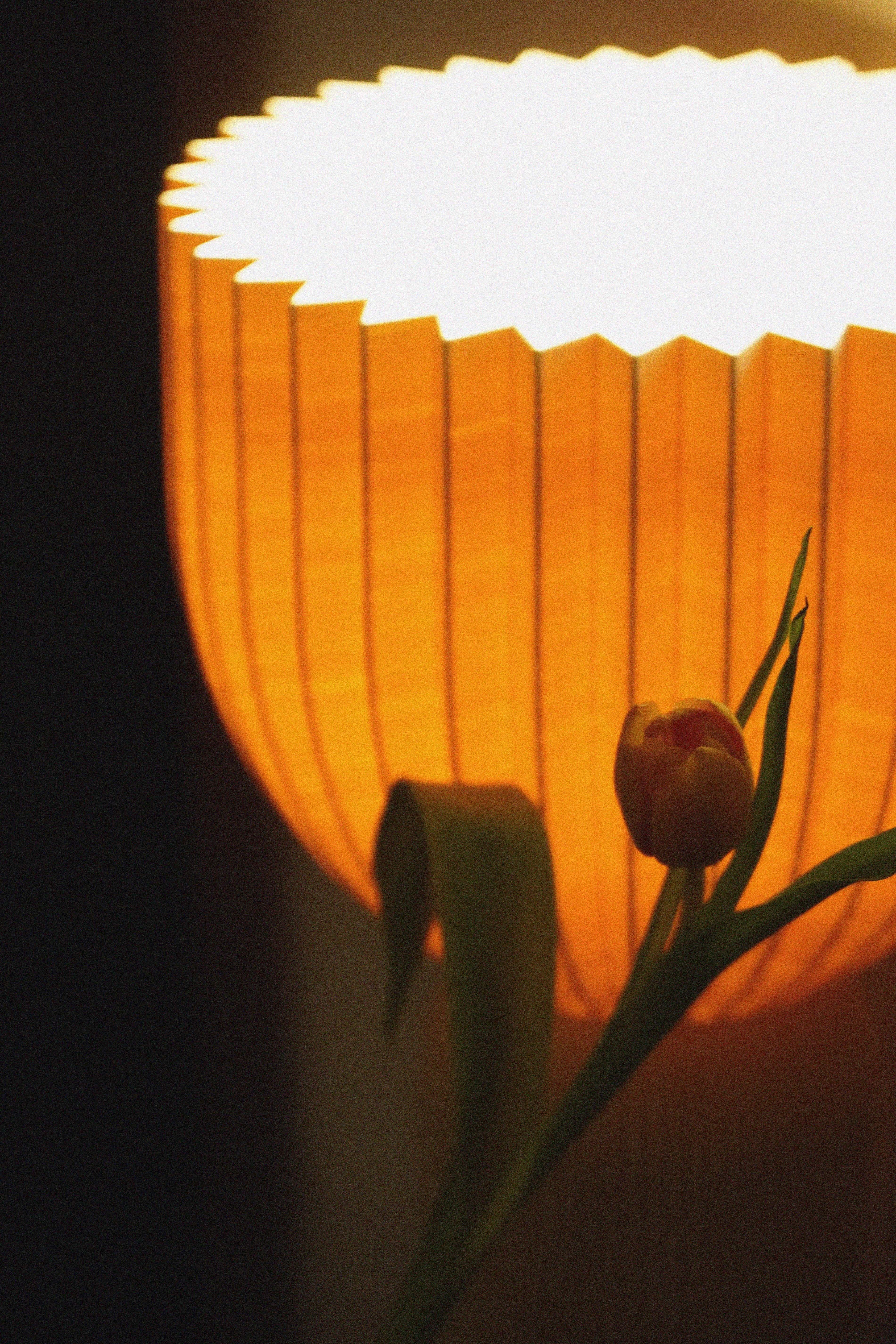 Lamp C • beige