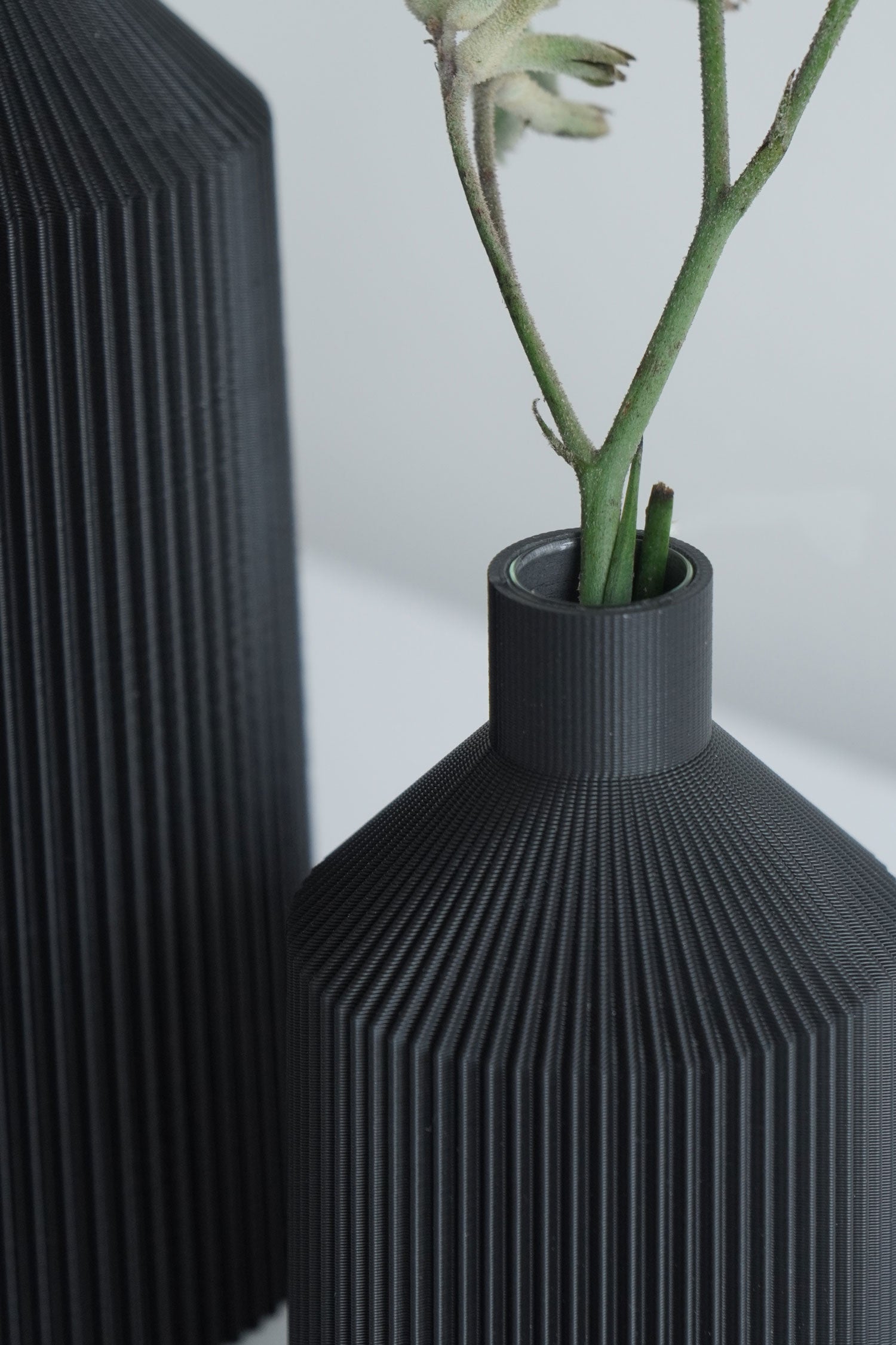 Vase D • bold black
