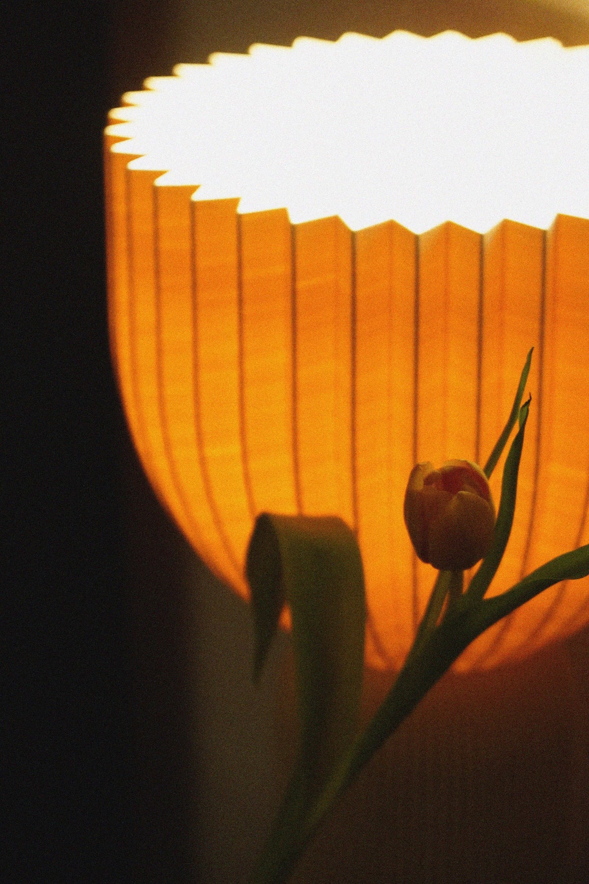 Lamp_C_beige_pema_factory_tulpenform_minimalistisch